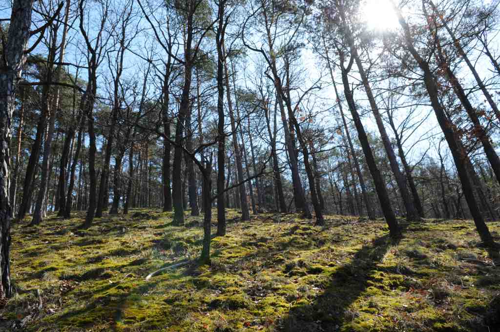 2010-04-04 Ostara im Germanengehöft Elsarn